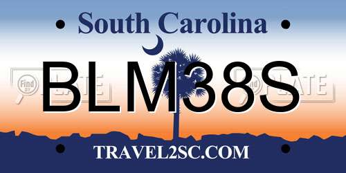 BLM38S South Carolina License Plate