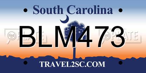 BLM473 South Carolina License Plate
