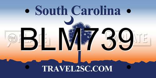 BLM739 South Carolina License Plate