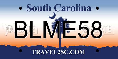 BLME58 South Carolina License Plate