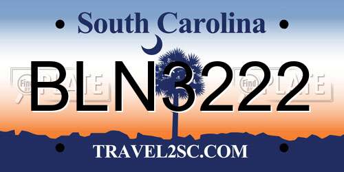 BLN3222 South Carolina License Plate