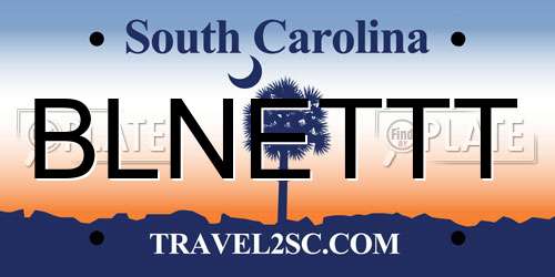 BLNETTT South Carolina License Plate