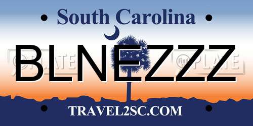 BLNEZZZ South Carolina License Plate