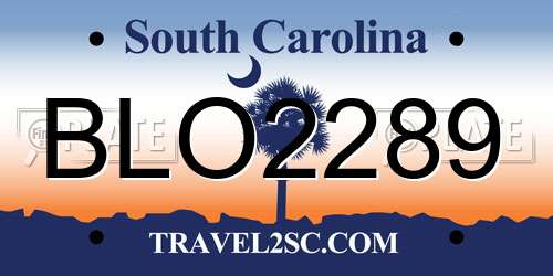 BLO2289 South Carolina License Plate
