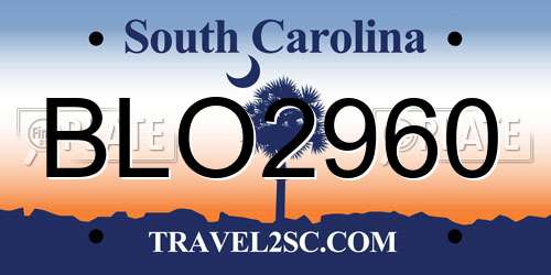 BLO2960 South Carolina License Plate