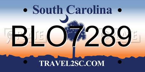 BLO7289 South Carolina License Plate