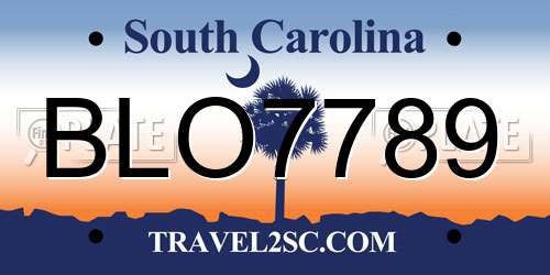 BLO7789 South Carolina License Plate