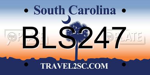 BLS247 South Carolina License Plate