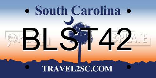 BLST42 South Carolina License Plate