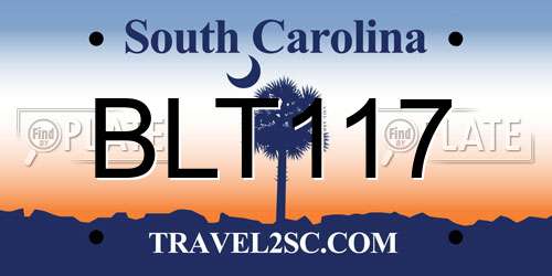 BLT117 South Carolina License Plate