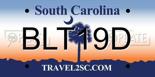 BLT19D South Carolina License Plate