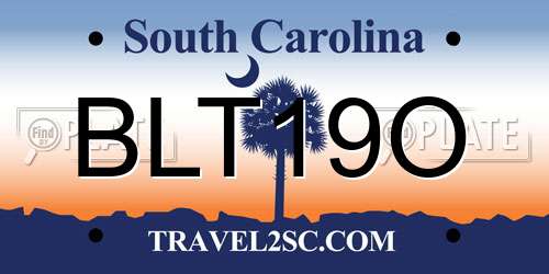 BLT19O South Carolina License Plate