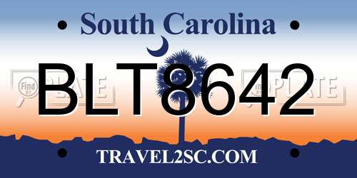 BLT8642 South Carolina License Plate
