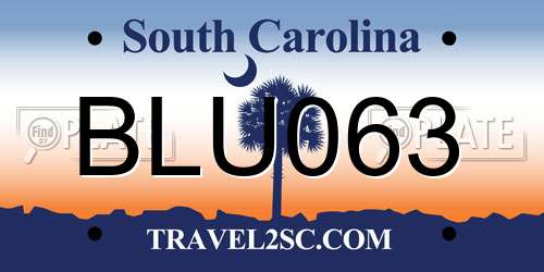 BLU063 South Carolina License Plate
