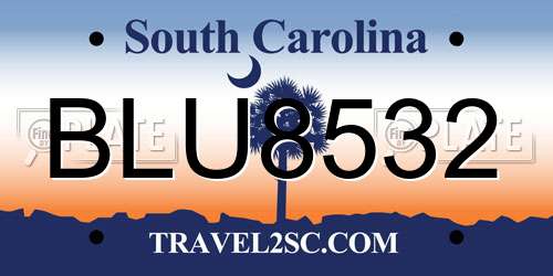 BLU8532 South Carolina License Plate