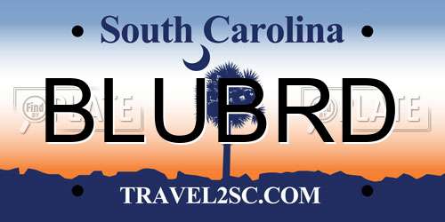 BLUBRD South Carolina License Plate