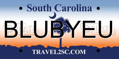 BLUBYEU South Carolina License Plate