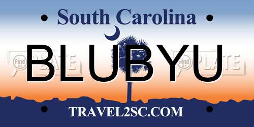 BLUBYU South Carolina License Plate
