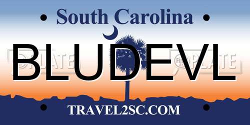 BLUDEVL South Carolina License Plate