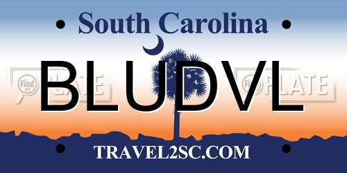BLUDVL South Carolina License Plate