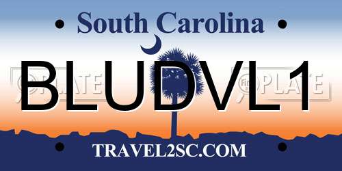 BLUDVL1 South Carolina License Plate