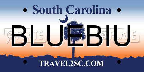 BLUEBIU South Carolina License Plate
