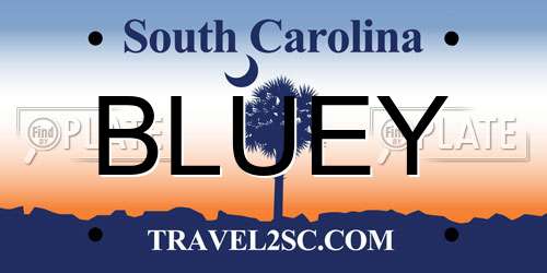 BLUEY South Carolina License Plate