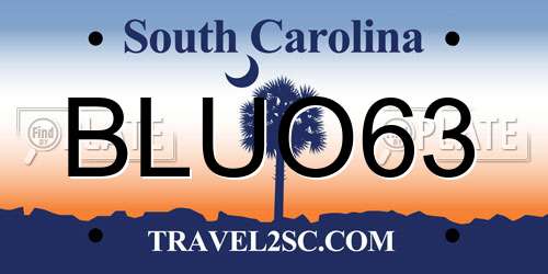BLUO63 South Carolina License Plate