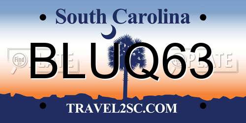 BLUQ63 South Carolina License Plate