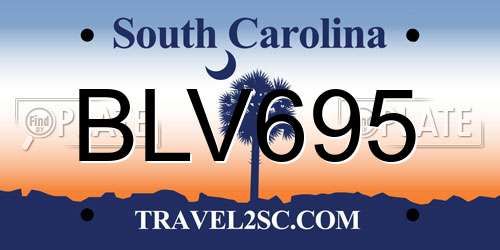 BLV695 South Carolina License Plate