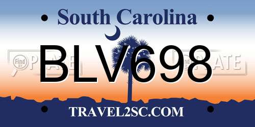 BLV698 South Carolina License Plate