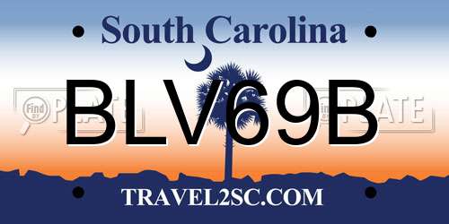 BLV69B South Carolina License Plate