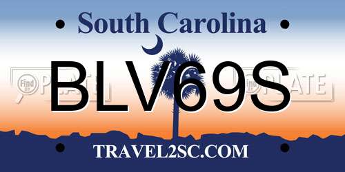 BLV69S South Carolina License Plate