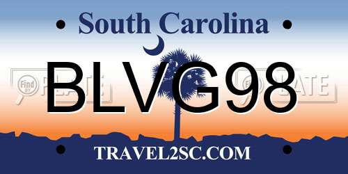 BLVG98 South Carolina License Plate