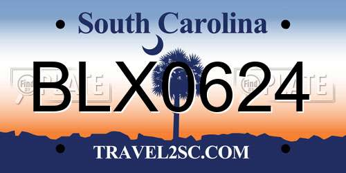 BLX0624 South Carolina License Plate
