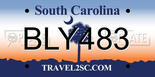 BLY483 South Carolina License Plate