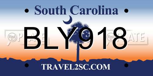 BLY918 South Carolina License Plate