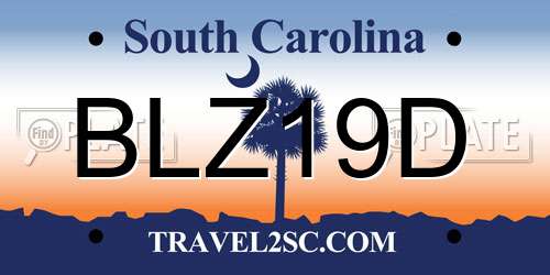 BLZ19D South Carolina License Plate