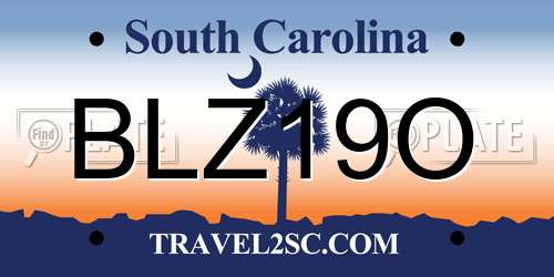 BLZ19O South Carolina License Plate