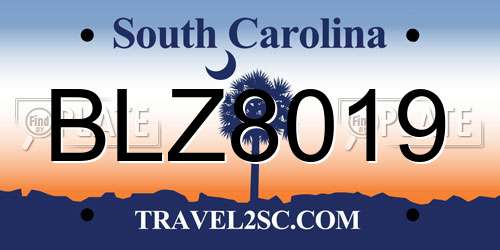 BLZ8019 South Carolina License Plate