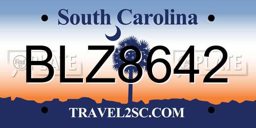 BLZ8642 South Carolina License Plate