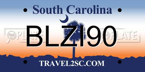 BLZI90 South Carolina License Plate