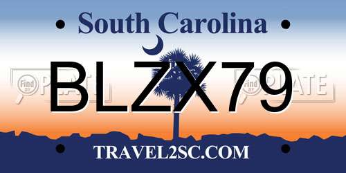 BLZX79 South Carolina License Plate