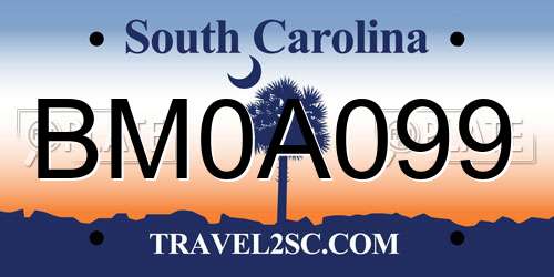 BM0A099 South Carolina License Plate