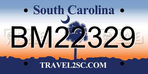 BM22329 South Carolina License Plate