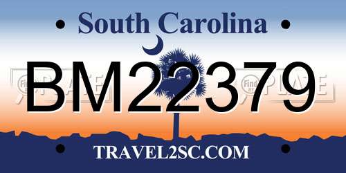 BM22379 South Carolina License Plate