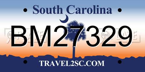 BM27329 South Carolina License Plate