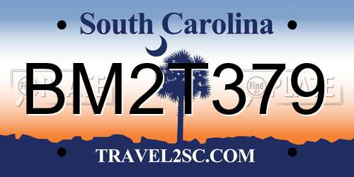 BM2T379 South Carolina License Plate
