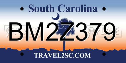BM2Z379 South Carolina License Plate
