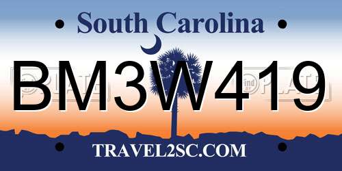 BM3W419 South Carolina License Plate